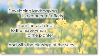 Developing landscaping is a concert of efforts.  From the architect to the nurseryman to the planter.  And with the blessings of the skies...